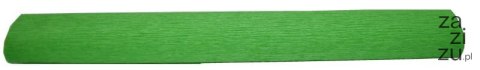 Bibuła krepina 200x50cm zielony | nr 117 Bibuła krepina 200x50cm zielony | nr 117