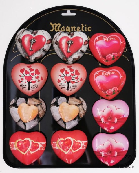 Magnesy 12szt. SERCA mix wz. | MG-9603