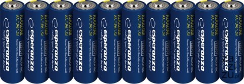 Baterie alkaliczne AA / LR06 - 10 szt zgrzewka zawieszana EZB112