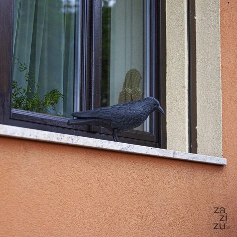 Kruk do odstraszania ptaków | 731004 Kruk do odstraszania ptaków | 731004