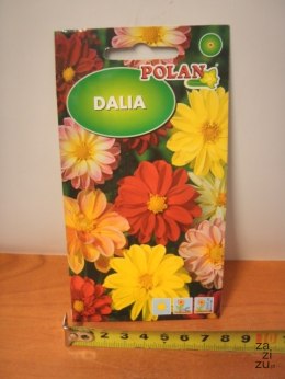 Nasiona 2g DALIA PN3722