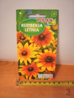 Nasiona 2g RUDBEKIA LETNIA PN3988