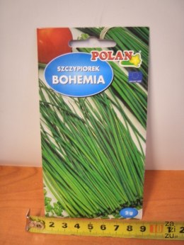 Nasiona 2g SZCZYPIOREK BOHEMIA PN4046