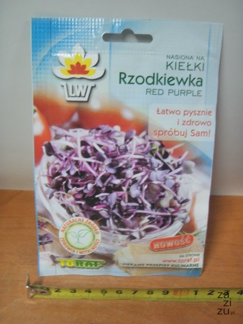 Kiełki 10g RZODKIEWKA RED PURPLE TF1475