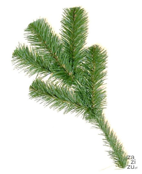 Gałązka 50cm CHOINKA Gałązka 50cm CHOINKA