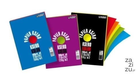 Papier ksero kolor 100arkuszy A4 160G/M2 Papier ksero kolor 100arkuszy A4 160G/M2