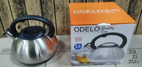 Czajnik metalowy satynowy 3l.CHICO ODELO