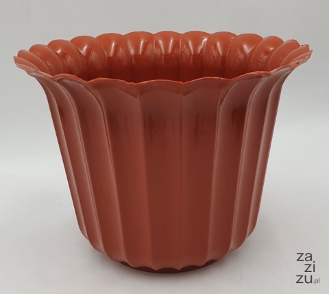 Osłonka muszelka 9 cm terakota - 20szt. Osłonka muszelka 9 cm terakota - 20szt.