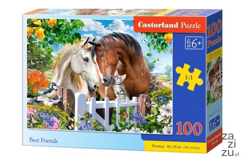 Puzzle 100 el. Najlepsi przyjaciele Castorland B-111121