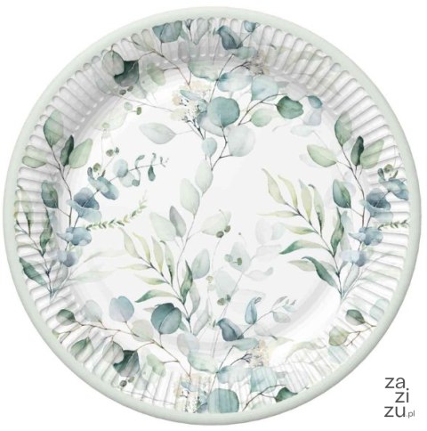 Talerze papierowe 22,7cm gałązki eukaliptusa 8szt. | 79-37