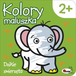 Kolory maluszka. Dzikie zwierzęta