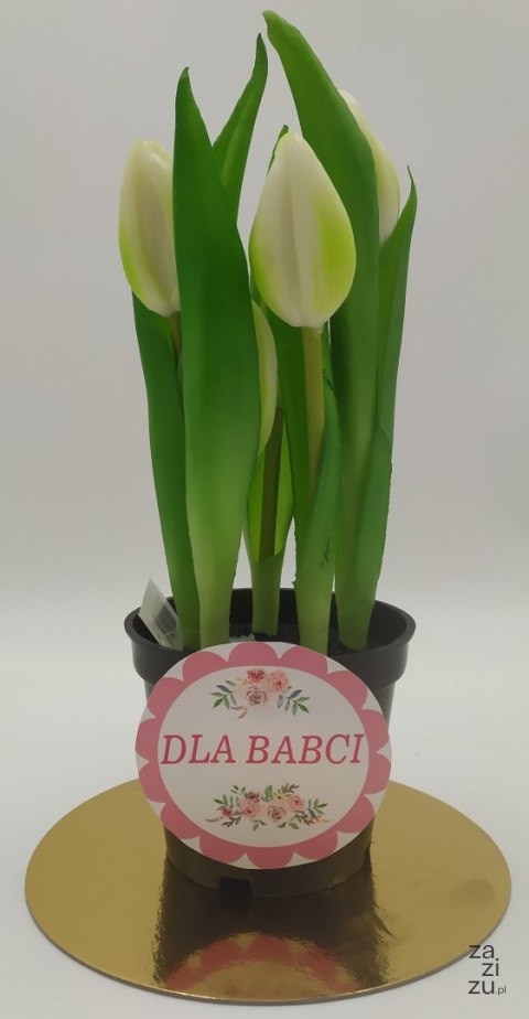 Kwiat w doniczce dla babci 24cm TULIPAN M93209 BABCIA