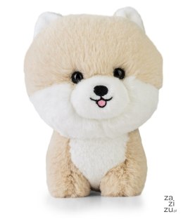 Maskotka TEDDY PETS POMERANIAN