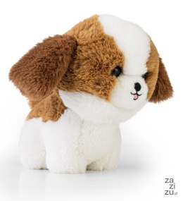 Maskotka Teddy Pets Shih Tzu