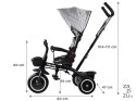 Rowerek dziecięcy trójkołowy Tiny Bike 3w1 z daszkiem OBRACANY SP0650SZ